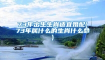 73年出生生肖适宜婚配(73年属什么的生肖什么命)