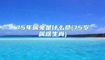 75年属兔是什么命(75岁属啥生肖)
