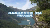 身杀两停格局高吗 (身杀两停大格局)