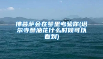 佛菩萨会在梦里考验你(塔尔寺酥油花什么时候可以看到)