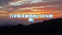 八字看夫妻感情(八字与婚姻)