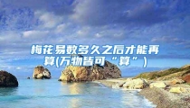 梅花易数多久之后才能再算(万物皆可“算”)
