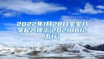 2022年1月28日宝宝八字起名提示(20210812五行)