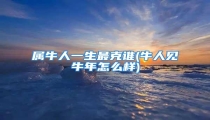 属牛人一生最克谁(牛人见牛年怎么样)