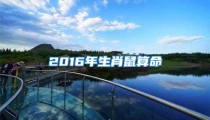 2016年生肖鼠算命