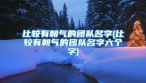 比较有朝气的团队名字(比较有朝气的团队名字六个字)