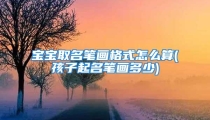 宝宝取名笔画格式怎么算(孩子起名笔画多少)