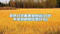 女命八字看事业财运(八字中女命的财代表什么)