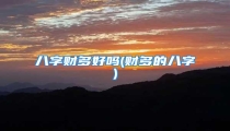 八字财多好吗(财多的八字)