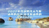 2022年姓胡男孩大气有涵养的名字(女孩有涵养的名字2020)
