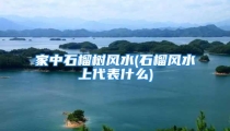 家中石榴树风水(石榴风水上代表什么)