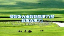 梦到发大水到处都淹了(梦到发大水了)