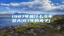 1987年属什么今年多大(87年的兔子)