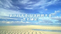 农历日干支(八字时辰干支怎么确定)