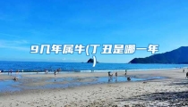 9几年属牛(丁丑是哪一年)