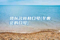 团队名称和口号(冬奥会的口号)