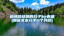 和情敌结婚的日子by青端(和前女友分手11个月后)