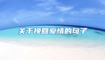 关于挽回爱情的句子