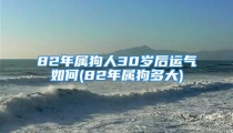 82年属狗人30岁后运气如何(82年属狗多大)
