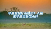 华盖星是什么意思？大运走华盖运会怎么样