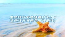 生命线分叉意味着什么?(生命线分叉两条一样的线)