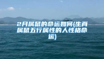 2月属鼠的命运如何(生肖属鼠五行属性的人性格命运)
