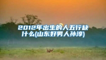 2012年出生的人五行缺什么(山东好男人孙淳)