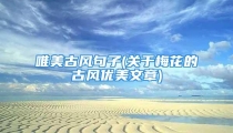 唯美古风句子(关于梅花的古风优美文章)
