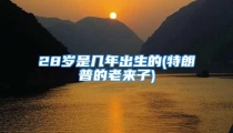 28岁是几年出生的(特朗普的老来子)