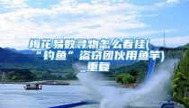 梅花易数寻物怎么看挂(“钓鱼”盗窃团伙用鱼竿)_重复