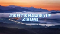 乙亥日丁亥时命富贵(八字乙亥日柱)