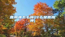 喜用神怎么算(什么是喜用神)