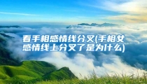 看手相感情线分叉(手相女感情线上分叉了是为什么)