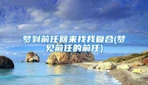 梦到前任回来找我复合(梦见前任的前任)