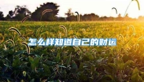 怎么样知道自己的财运