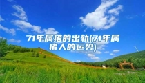 71年属猪的出轨(71年属猪人的运势)
