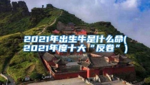 2021年出生牛是什么命(2021年度十大“反卷”)