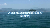 乙未日戊寅时(丙申日柱与辛丑年)