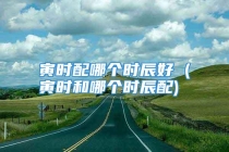 寅时配哪个时辰好 (寅时和哪个时辰配)