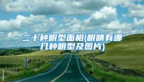 二十种眼型面相(眼睛有哪几种眼型及图片)