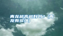 青龙越高越好吗？(青龙有多强)