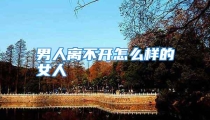 男人离不开怎么样的女人