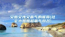 又酷又拽又霸气的昵称(社会小姐姐超霸气网名)