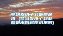 梦到发水了到处都是水 (梦到发水了到处都是水自己在水里游)