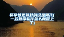 怀孕梦见算卦的说是男孩(一款算命软件怎么就登上了)