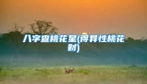 八字查桃花星(得异性桃花财)