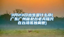 3月23日出生是什么命(广东广州籍赴台老兵陆兴在台湾孤独离世)