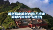 偏财格走偏财大运(八字走偏财大运是什么情况)