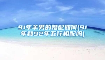 91年羊男的婚配如何(91年和92年五行相配吗)