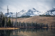 今日运势星座屋(信号星座图)